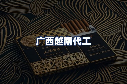 广西越南代工